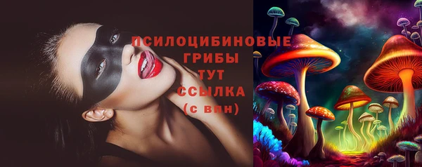 спиды Нефтекумск