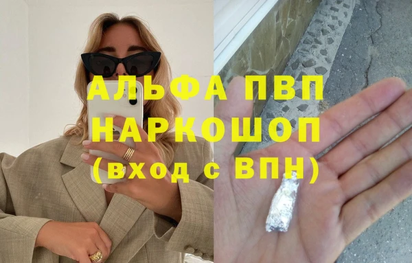 спиды Нефтекумск