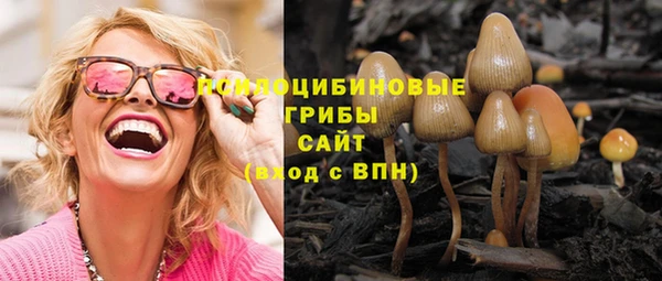 гашик Нефтегорск